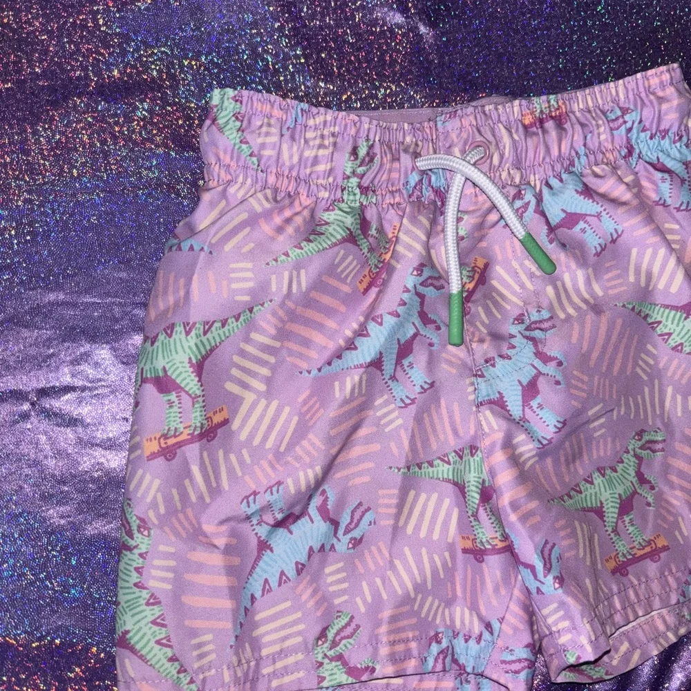 Boys Dinosaur swim trunks